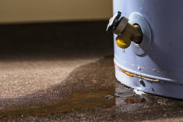 Carpet water damage restoration in CT