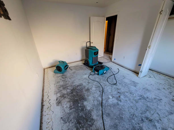 Best Flood restoration services  in Oronoque, CT