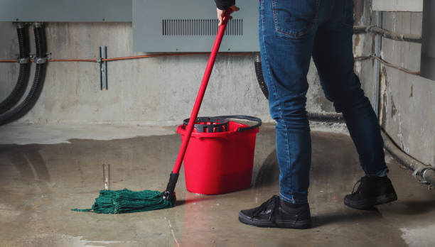 Best Flood damage cleanup  in Oronoque, CT