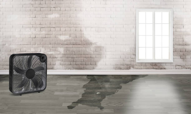 Sewage cleanup and water damage restoration in CT