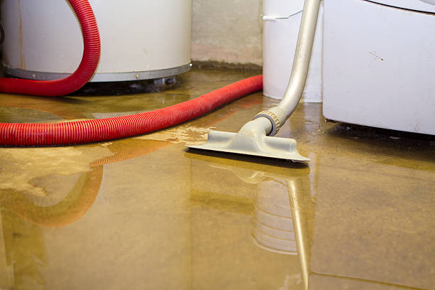 Best Water damage restoration company  in Oronoque, CT