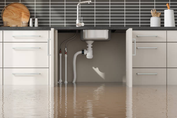 Best Basement water damage restoration  in Oronoque, CT